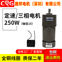 Gear motor 250W 220V 380V capacitor running constant speed motor 6IK250GU-CF Shengbang small motor