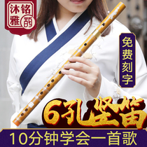 Six-hole clarinet beginner 6-hole professional bamboo flute children Primary School students zero Basic Introduction F-tune self-study recorder