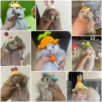 Golden bear hamster hat crochet wool small hat custom pet Persimmon pepper bear small hat bag