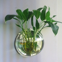Grass tank wall hanging fish tank vase hanging flower pot wall decoration three-dimensional acrylic wall stickers background wall home accessories
