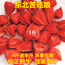 Northeast Changbai Mountain Red Mushroom mushroom mother wild red brocade lantern fruit hanging Golden Lantern mushroom Bird Girl fruit new 500g