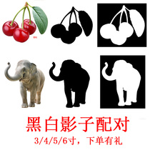 Teaching AIDS shadow matching card Lonely autistic children with developmental delay aba teaching aids practical exercise rehabilitation training card