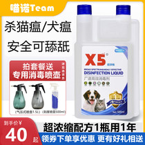 x5 disinfectant pet cat plague dog plague Cat Moss cat dog Special household deodorant deodorant spray water sterilization