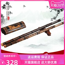 Easy to blow a section Short Xiao Beginner Musical Instrument Dongxiao Adult Student Direct Marketing G Transfer of Eight Comes Short Xiao Playing