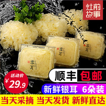 The story of the stove. Fresh white fungus 6 sets of 700g live fresh white fungus.