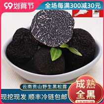 Frozen black truffle 5-6cm Yunnan specialty fresh truffle Gongshan truffle fresh white truffle mushroom 500g