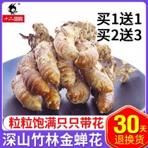 1 send 1 buy 2 send 3 Golden Cicada flower wild cicada flower grass Chinese medicinal material cicada flower Cicada flower Cordyceps powder Golden silkworm flower