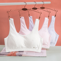 Girl bra development period sports girl vest student without steel ring big child junior high school student underwear female