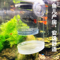 Guppy breeding isolation box tropical ornamental fish pregnancy delivery room isolation net incubator small fish egg incubator