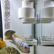 Fish egg incubator breeding box Sanhu cichlid horse bream small fish alien fish eggs can hatch ornamental fish breeding bucket