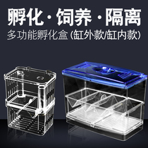 Guppy breeding box fish tank non-acrylic isolation box Extra-large spawning and hatching delivery room small fry young big fish