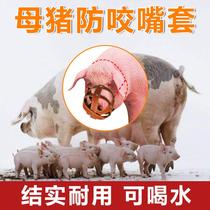Pig mouth cage set Pig mouth sow mouth set Bite-proof set Pig cub piglets bite-proof frame Cattle and horses mouth set Breeding pig mouth cover