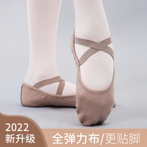 Stretch cloth dance shoes Latin dancing and soft shoes adult soft sole ballet children dance shoes