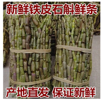 Fresh Dendrobium candidum strips are selected from Yunnan fresh Dendrobium candidum 500g 4-year fresh Dendrobium original species