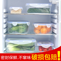 Refrigerator special dumpling box Plastic egg preservation box Bento bowl food storage box Lunch box storage box Sealed box