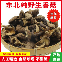 Long White Hills Wild Mushrooms Mushrooms Winter Mushrooms 500g Mushrooms Dry Goods Pure Natural Northeast Wild Flower Mushrooms New Cargo class Bulk