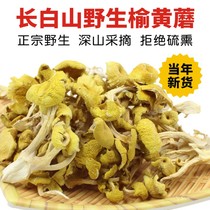 Northeast Wild Elm Yellow Mushroom Dry Cargo Chicken Oil Bacteria Gold Mushroom Yellow Silk Fungus Gold Top Lateral Ear Gold Top Jade Imperial Mushroom Gold Mushroom