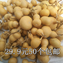 American natural hand twist small gourd feng shui pendant play handlebar hot painting play lucky evil town house decoration