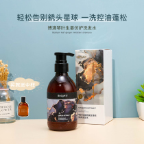 Zhang Mofan Bodyaid Bodi Qinye hair development and anti-hair loss ginger shampoo solid hair anti-itching oil control and fluffy