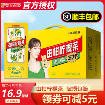 Dongpeng special drink by citrus lemon tea 250ml*18 boxes of freshly squeezed lemon refueling citrus fruit tea drink Yang Zi endorsement