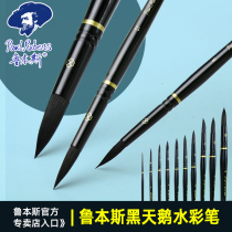 Rubens Black Swan watercolor pen Artist-grade squirrel hair watercolor pen Clover watercolor pen Round head watercolor hook pen Chinchilla hair watercolor pen