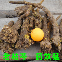 The semi-wild Scutellaria baicalensis self-drying and sulfur-free old Baicalin hollow rate of 250g