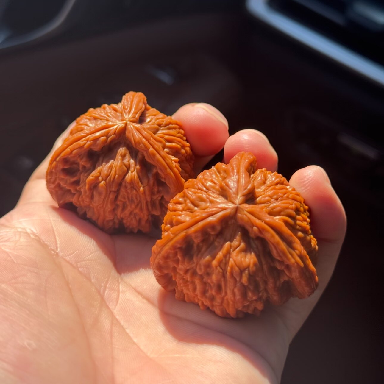 文玩堂：天下第一楼文玩胡桃（稀少品） 新手文玩核桃-新手文玩核桃促销价格、新手文玩核桃品牌- 淘宝
