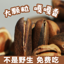 New wild pine nuts opening northeast non-fried without adding original hand peeled pine nuts 500g pregnant women snacks