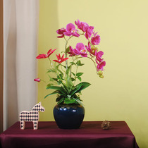  Feel phalaenopsis simulation flower table flower bed head cabinet decoration bedroom high-quality fake flower with vase