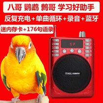 Bird learning machine parrot theory phone machine Myrna repeater recorder Bluetooth teaching speech training language