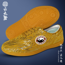 Yun Tai Chi Tai Chi Tai Chi shoes soft leather beef tendon bottom shiny new martial arts performance qigong sports shoes