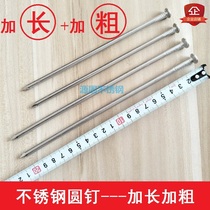Bold extended round nails stainless steel large nails stainless spikes 21cm spikes 6 thick nails