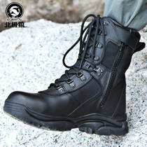 Arctic Wolf Spring High Help Breathable Zipper Combat Boots Special Military Fan Mountaineering Desert Training Land War For Training Boots
