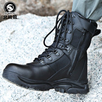 Arctic Wolf autumn high-top breathable zipper combat boots Special Forces fans tactical desert land combat training mountaineering boots