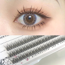 Yu Shuxin same false eyelashes womens single cluster segmented Fishtail hair natural simulation super soft swallowtail grafting C