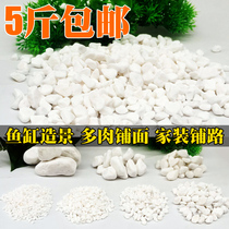 Fish tank landscaping sand pebbles natural small stones White small stones potted fleshy paving Small white stone paving