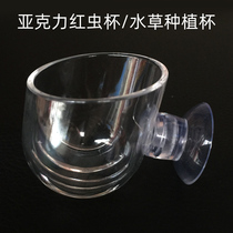  Transparent acrylic red worm cup feeder Aquatic grass cup Tank landscaping basin Red worm nematode feeding cup feeding circle