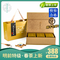 2021 New Tea Lushan Mountain Cloud mist tea Ming pre-level green tea Tea salute box Courtesy Spring Tea Iron Jar Fit 3 * 60g