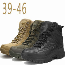 Cross-border Desert Boots Summer Sand High Top Mountaineering Boots Foreign Trade Large Size Desert Military Fans Tactical Boots