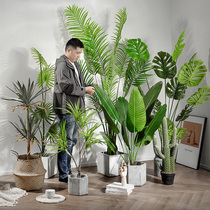 Green simulation plant potted living room floor large model ornaments Nordic traveler Canna green plant scattered tailed sunflower piano leaf Banyan