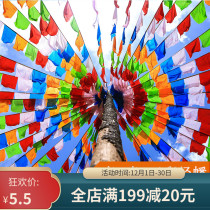 Auspicious colorful prayer flag five-color flag 10 in 1 satin warp flag Tibetan wind horse flag Dragon up to 7 meters 20 sides