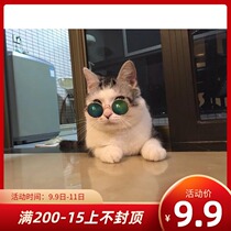 Pet small glasses round pet sunglasses metal frame pet sunglasses kitten puppy decorative glasses