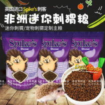 African mini hedgehog grain hedgehog staple food UK Spikes hedgehog particles hedgehog grain young Thorn grain