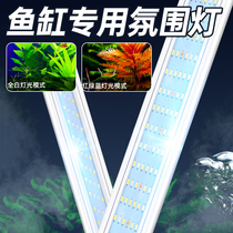 led ornamental fish fish tank special lamp fish tank accessories Daquan