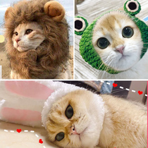 Net Red pet hat cat dog rabbit winter cold warm small cute rabbit ear lion head cover