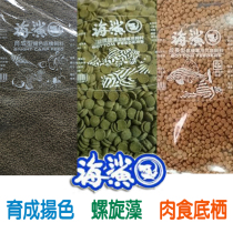 Sea shark growth type benthic carnivorous spirulina tablets to raise color pellet feed alien rat fish shrimp