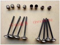 Futian Road Qi Fumin elderly walking three-four wheeler accessories A7C3-B twin cylinder 272 engine valve oil seal