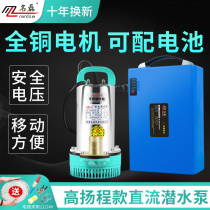 Minglei 12V water pump 24V48V60V DC submersible pump rechargeable battery car pump Small agricultural pump