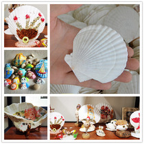 Natural white shell colorful flower scallop kindergarten handmade diy material coloring painting fish tank landscaping punching