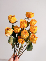 diy hand-made flower material rose dried flower bouquet real flower natural air-dried rare dried flower living room decoration flower arrangement photo frame